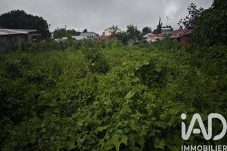  terrain tampon 97430