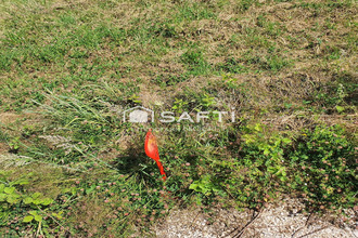  terrain tarsul 21120