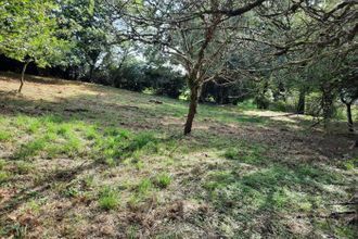  terrain taupont 56800