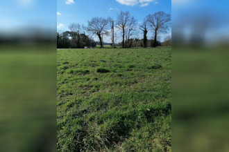  terrain taupont 56800