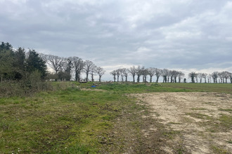  terrain taupont 56800