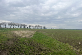  terrain taupont 56800