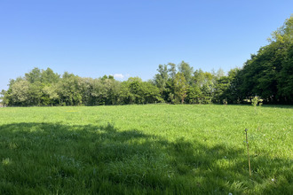  terrain taupont 56800