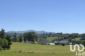  terrain tauves 63690