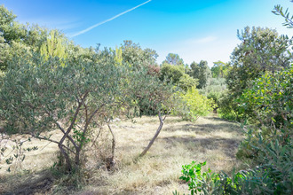  terrain tavernes 83670