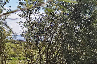  terrain telgruc-sur-mer 29560