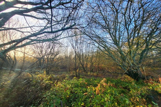  terrain telgruc-sur-mer 29560