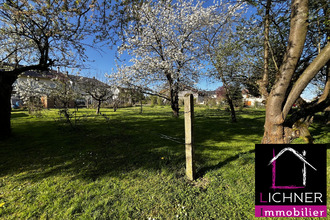  terrain teting-sur-nied 57385