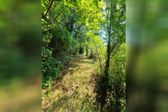  terrain thenon 24210