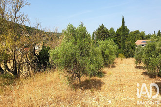  terrain thezan-des-corbieres 11200