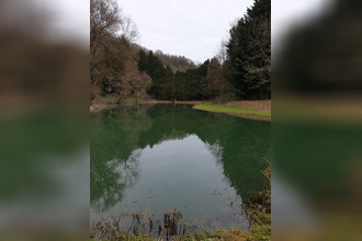  terrain thiaucourt-regnieville 54470