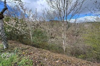  terrain thizy 69240