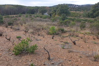  terrain torderes 66300