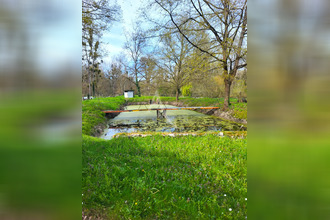  terrain tour-en-sologne 41250