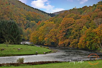  terrain tournavaux 08800
