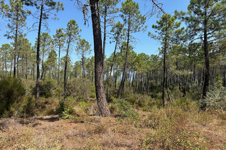  terrain tourrettes 83440