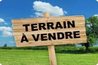 terrain tours 37000