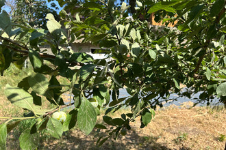  terrain trebes 11800