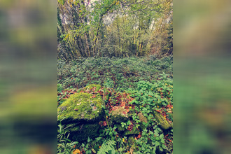  terrain treignac 19260