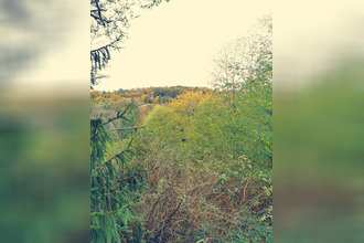  terrain treignac 19260