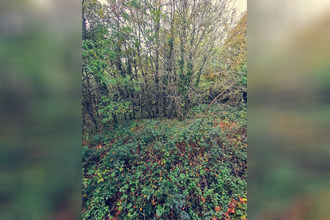  terrain treignac 19260