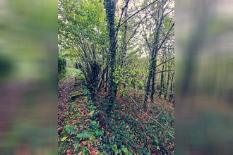  terrain treignac 19260