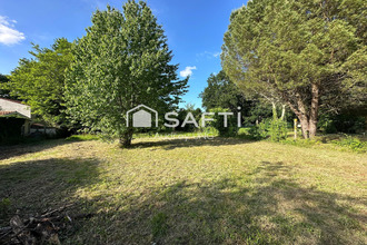  terrain tresses 33370