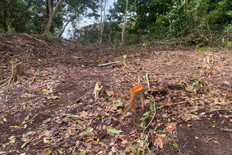  terrain trinite 97220