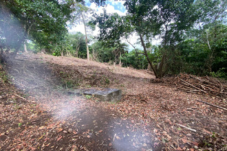  terrain trinite 97220