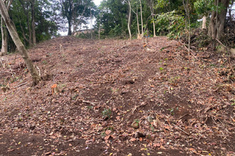  terrain trinite 97220