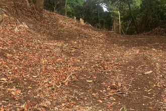  terrain trinite 97220