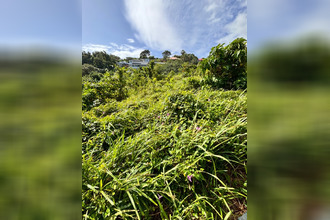  terrain trinite 97220