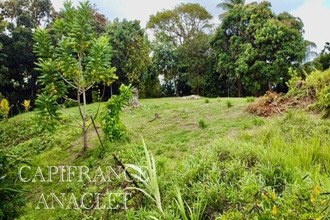  terrain trinite 97220