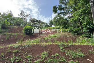  terrain trinite 97220