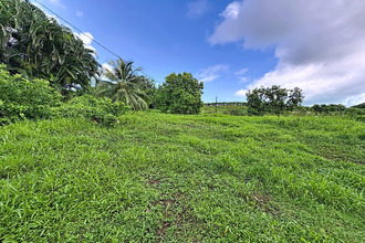  terrain trinite 97220