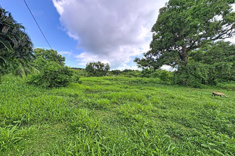  terrain trinite 97220