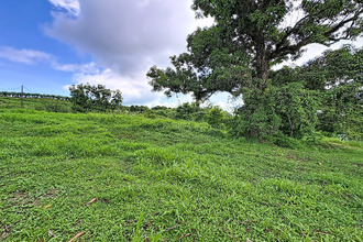  terrain trinite 97220