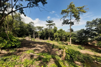  terrain trinite 97220