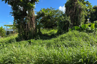  terrain trinite 97220