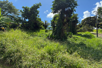  terrain trinite 97220