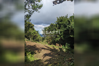  terrain trois-ilets 97229