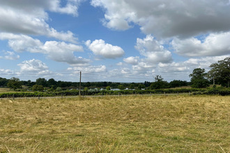  terrain tronget 03240