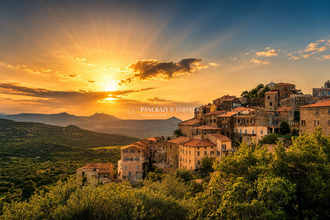  terrain ucciani 20133