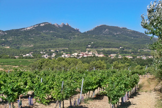  terrain vacqueyras 84190