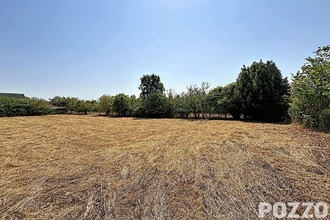  terrain vains 50300