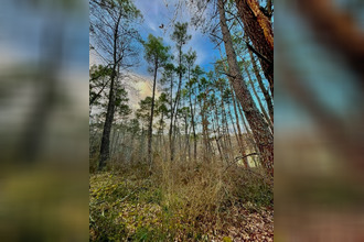  terrain vaissac 82800