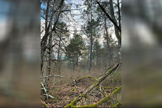  terrain vaissac 82800