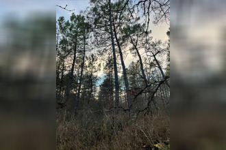  terrain vaissac 82800