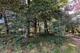  terrain vannes 56000