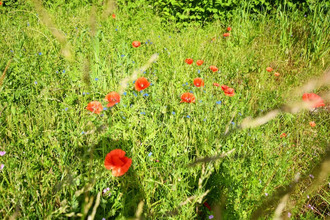  terrain vauchignon 21340